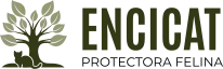 logo.png-0